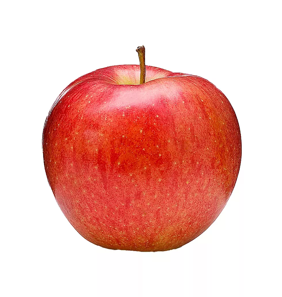 Premium Seasonal Fruit Treats Pack