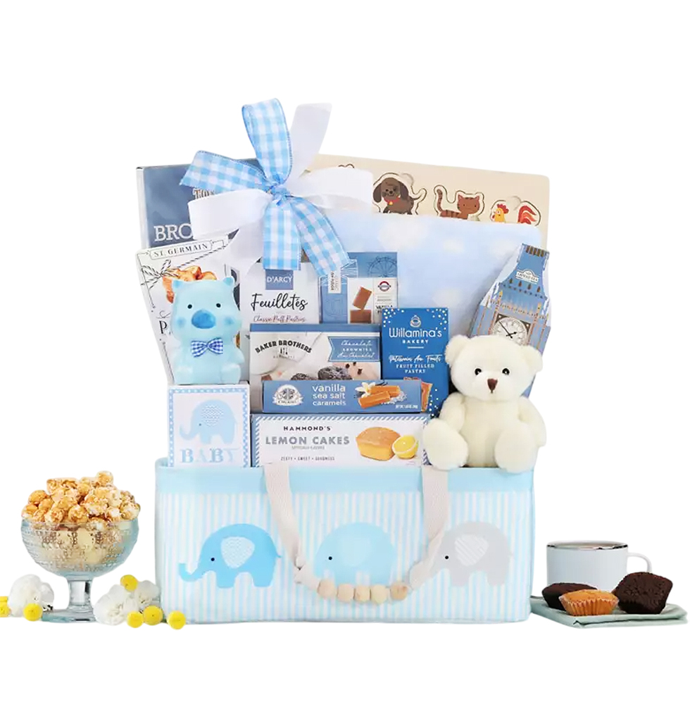 Welcome Home Baby Gift Bundle