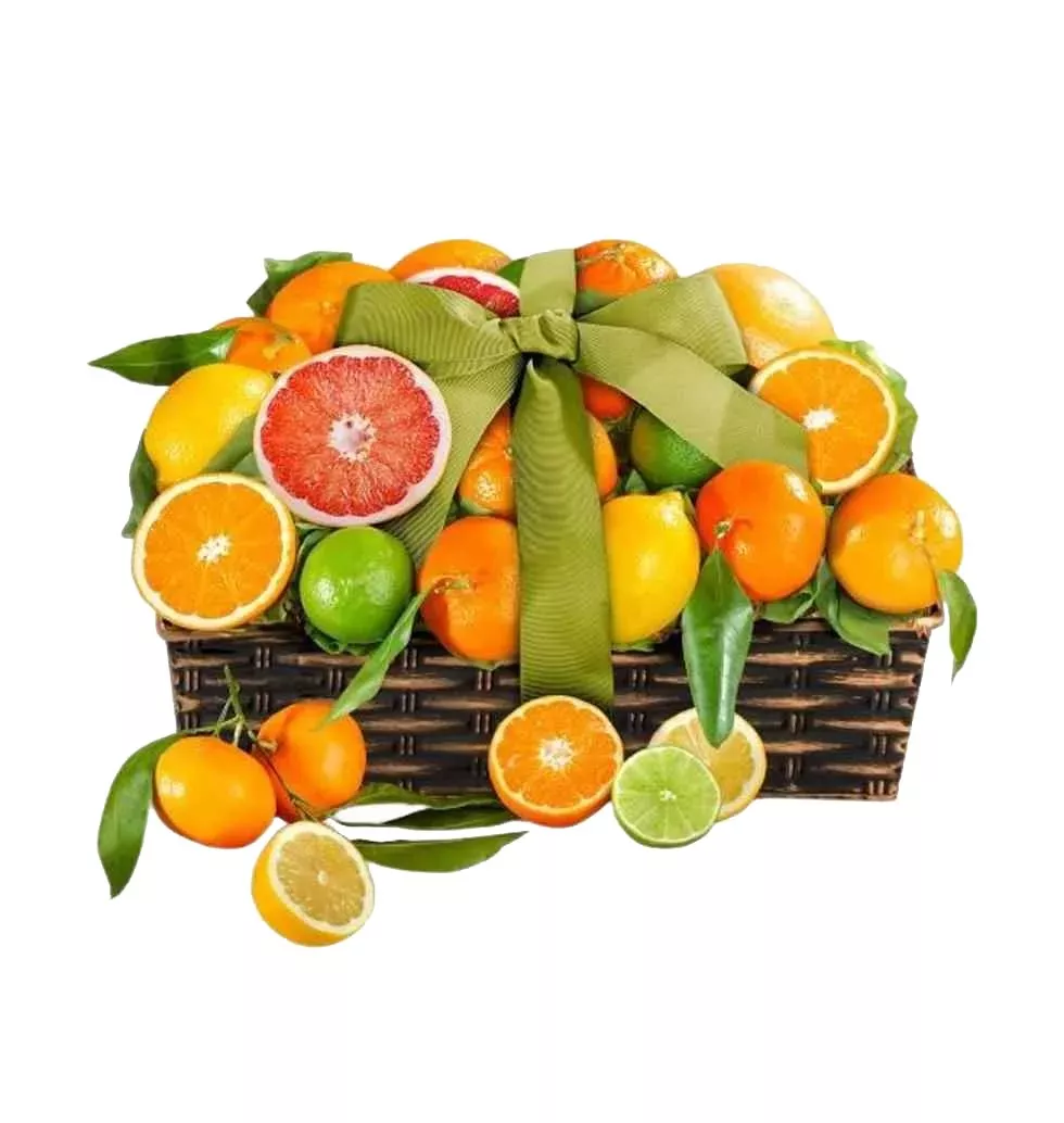 Vibrant Citrus Fruit Collection